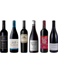 8Wines Staff Picks Red Wine Tasting Case