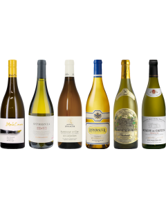 Chardonnay Premium Tasting Case
