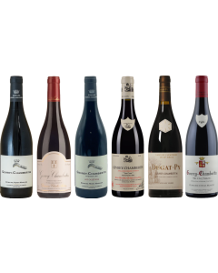 Gevrey Chambertin Tasting Case