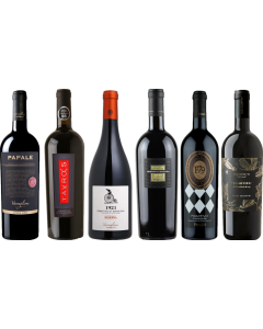 Primitivo Premium Tasting Case