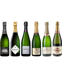 Top Value Champagne Tasting Case