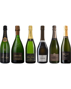 Vintage Champagne Premium Tasting Case