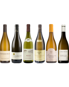 White Burgundy Tasting Case