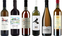 Georgian Orange Amber Wine Premium Tasting Case