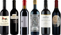 Georgian Saperavi Premium Tasting Case