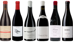 Mencia Premium Tasting Case