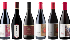 Oregon Pinot Noir Premium Tasting Case