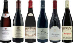 Red Burgundy Tasting Case