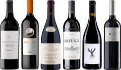 Ribera del Duero Premium Tasting Case