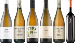 Slovenian White Wine Premium Tasting Case