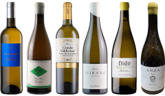 Spanish White Wine Premium Tasting Case