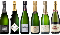 Top Value Champagne Tasting Case