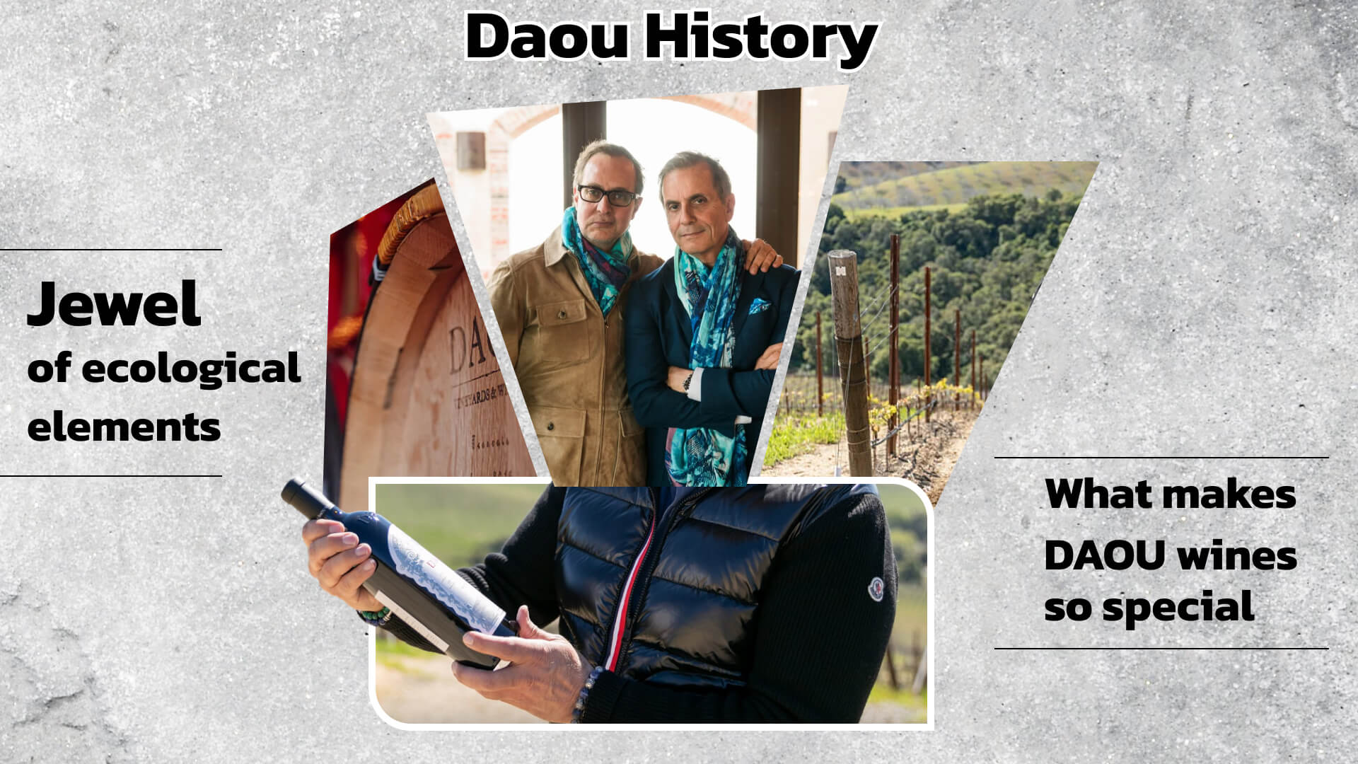 Daou History