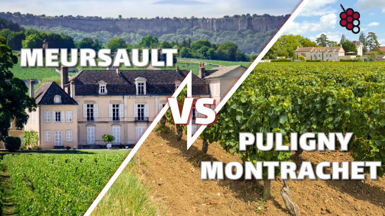 The key role of terroir: Meursault vs Puligny Montrachet and what makes these wines so unique