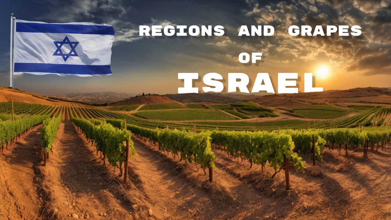 Regions and Grapes of Israel