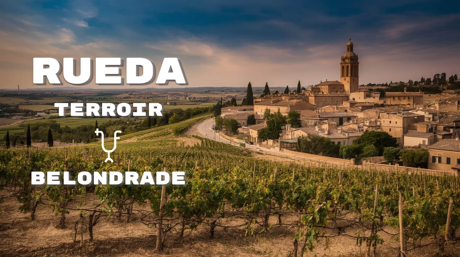 Rueda, it’s Terroir