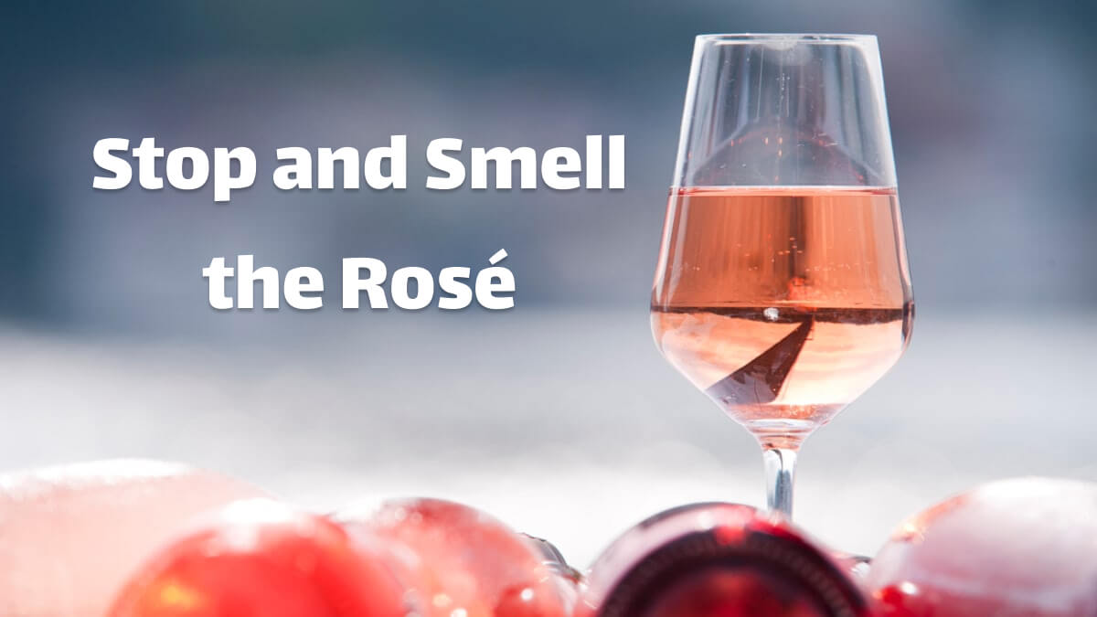 Guide to the Best Rosé Wines